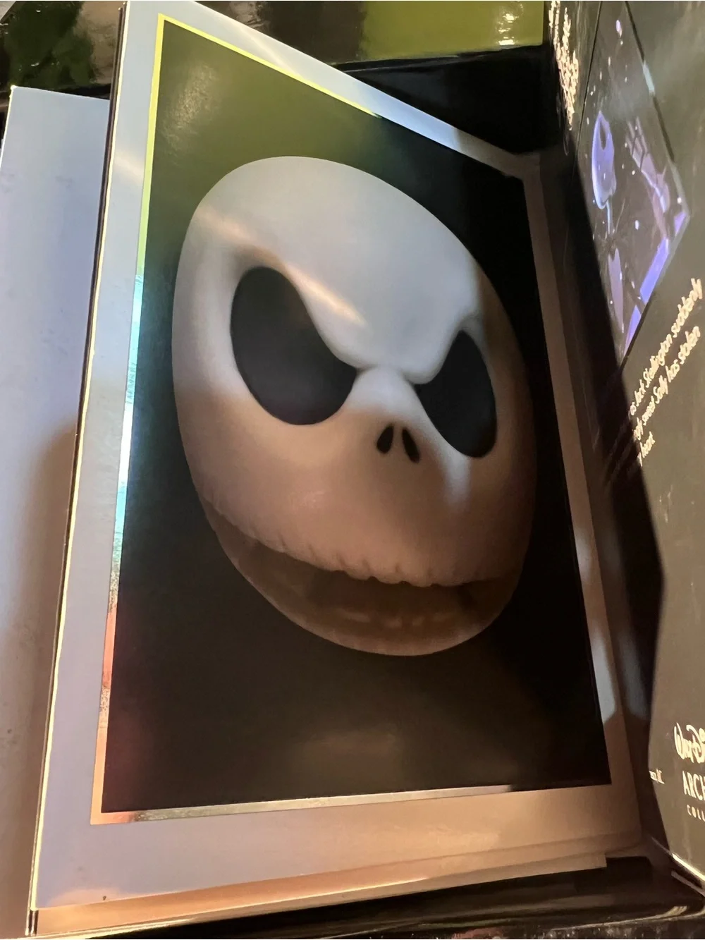 Disney themed coffin